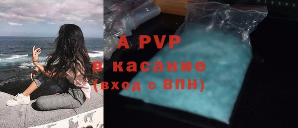 дживик Майский