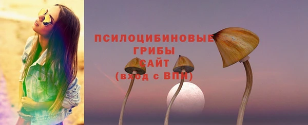 альфа пвп Магас