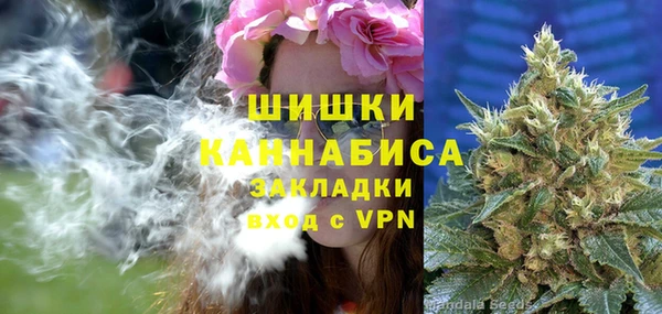 дживик Майский