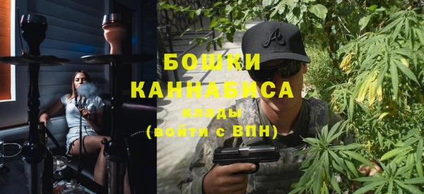 дживик Майский