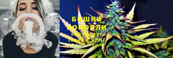 дживик Майский
