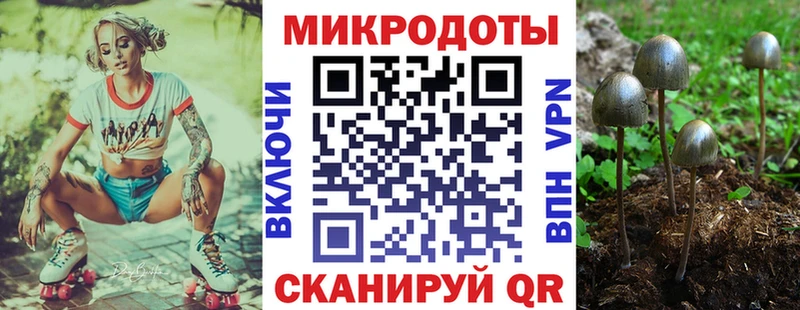 Галлюциногенные грибы Magic Shrooms  Купить закладки  Ленинградская 